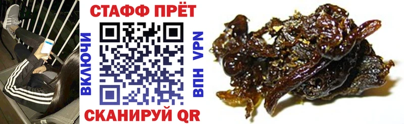 Продажа наркотиков Дрезна Метамфетамин  MEGA рабочий сайт  COCAIN  Alpha-PVP  Гашиш 