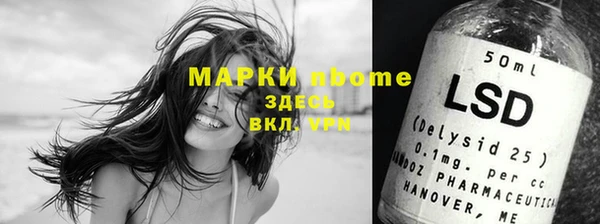 прущие грибы Абаза