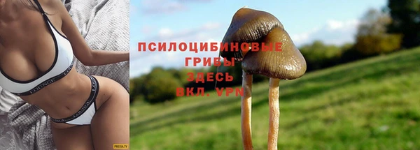 мескалин Алексеевка