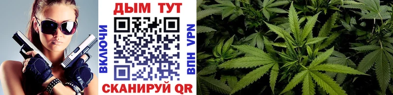 где продают   Дрезна  Шишки марихуана LSD WEED 